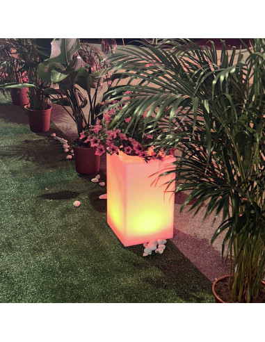 Sgabello Luminoso Par: Design Elegante e Resistente, Acquista Ora!