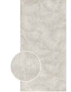 RESINE 60X120 DECORO VENTAGLIO PLATINO
