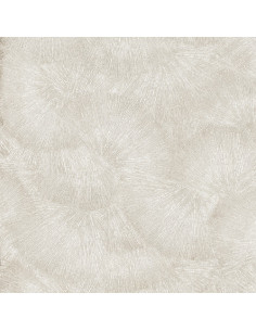 RESINE 60X120 DECORO VENTAGLIO PLATINO 2