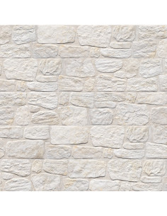 DOLOMIA 20x60 CRISTALLO 2