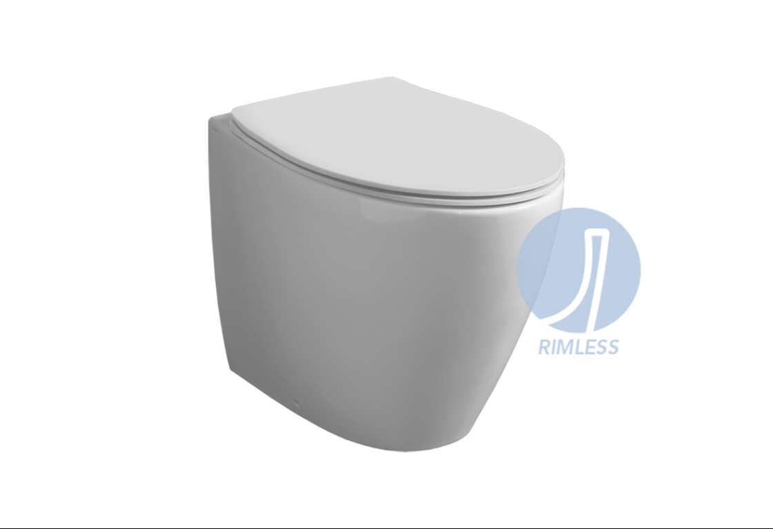 🚽 No Rim o Vertigo? Scopri la Differenza